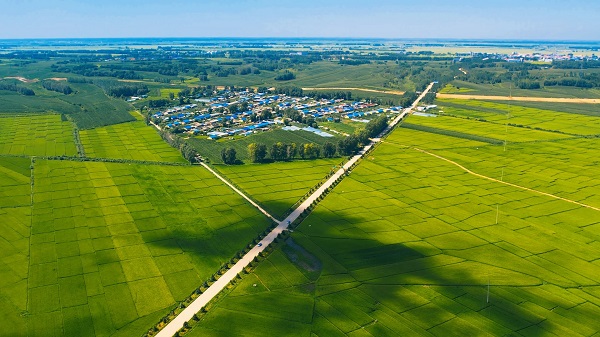 路穿沃野连村镇 黑土地上话振兴